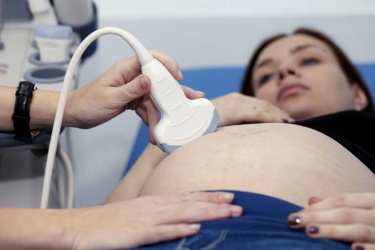 Вторая неделя беременности: признаки, что происходит с животом, показывает ли тест, фото узи | nutrilak