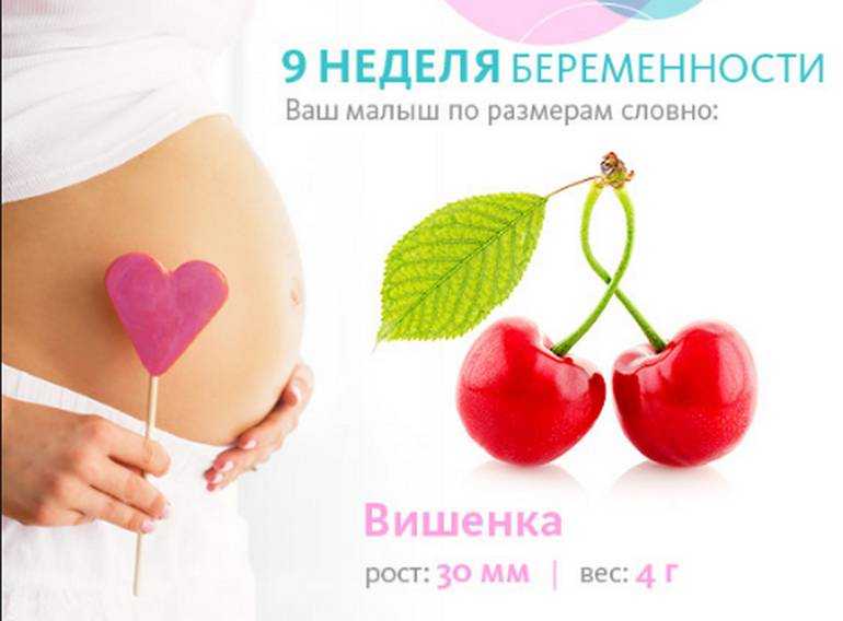 Календарь беременности. 9-я акушерская неделя