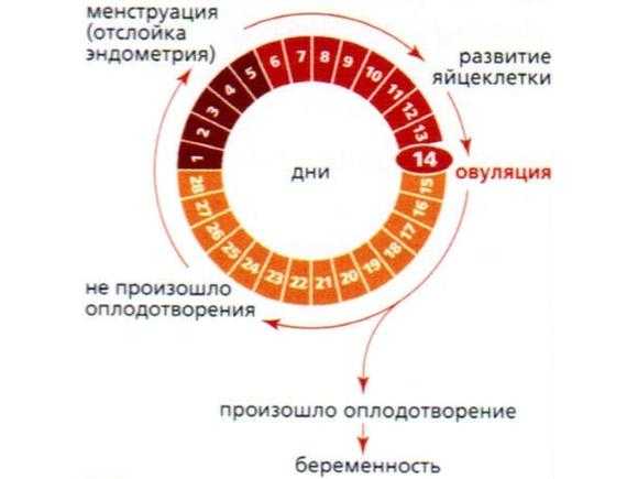 Виды планирования. основные виды планирования :: syl.ru