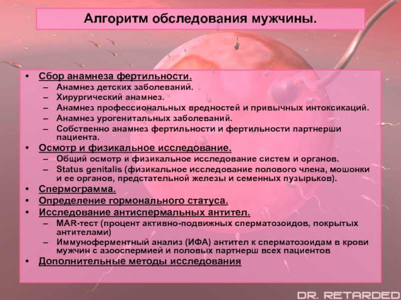 Фертильность - что это такое и как повысить фертильность у женщины | клиника эко ак. грищенко