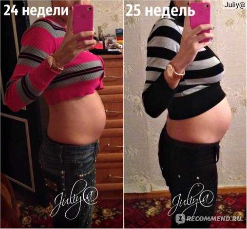 25 неделя беременности развитие и фото — евромедклиник