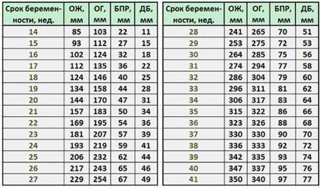 Беременность по неделям