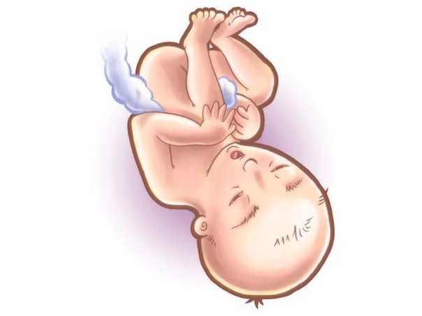 Вторая беременность во сколько начинает шевелиться ребенок ~ детская городская поликлиника №1 г. магнитогорска