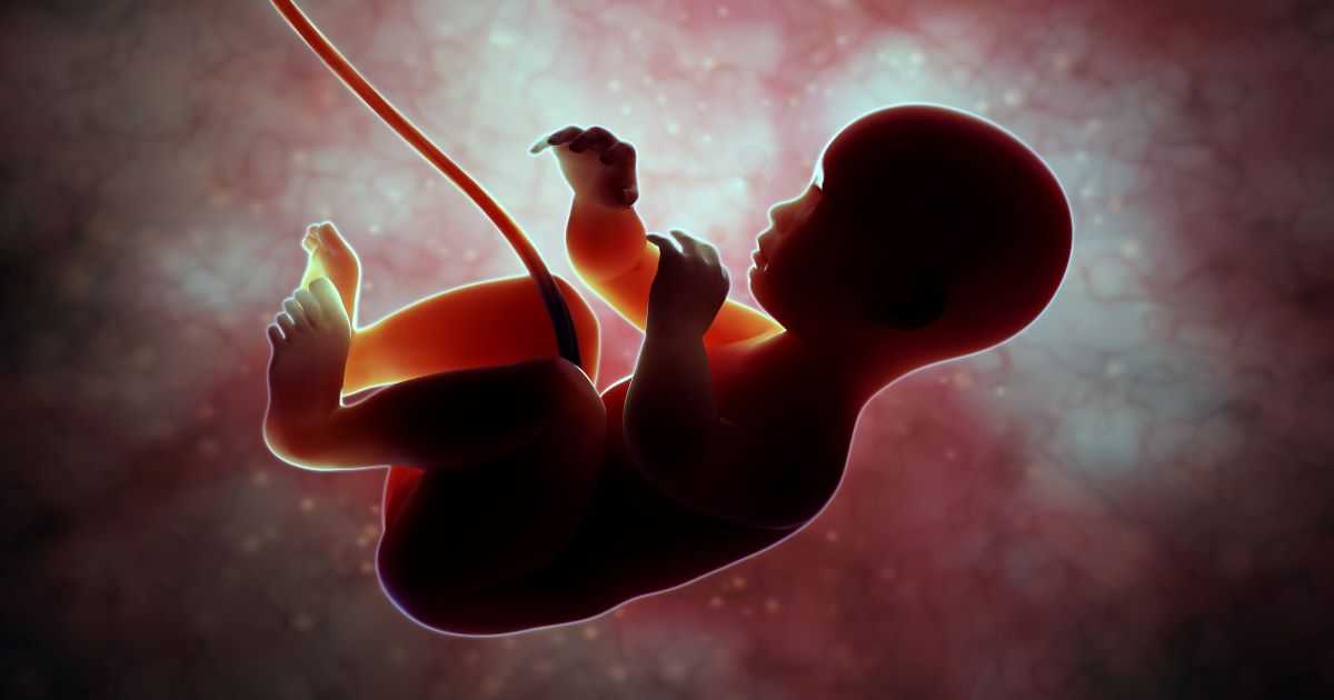 Занимаемся воспитанием ребенка в утробе матери - как воспитывать до рождения?