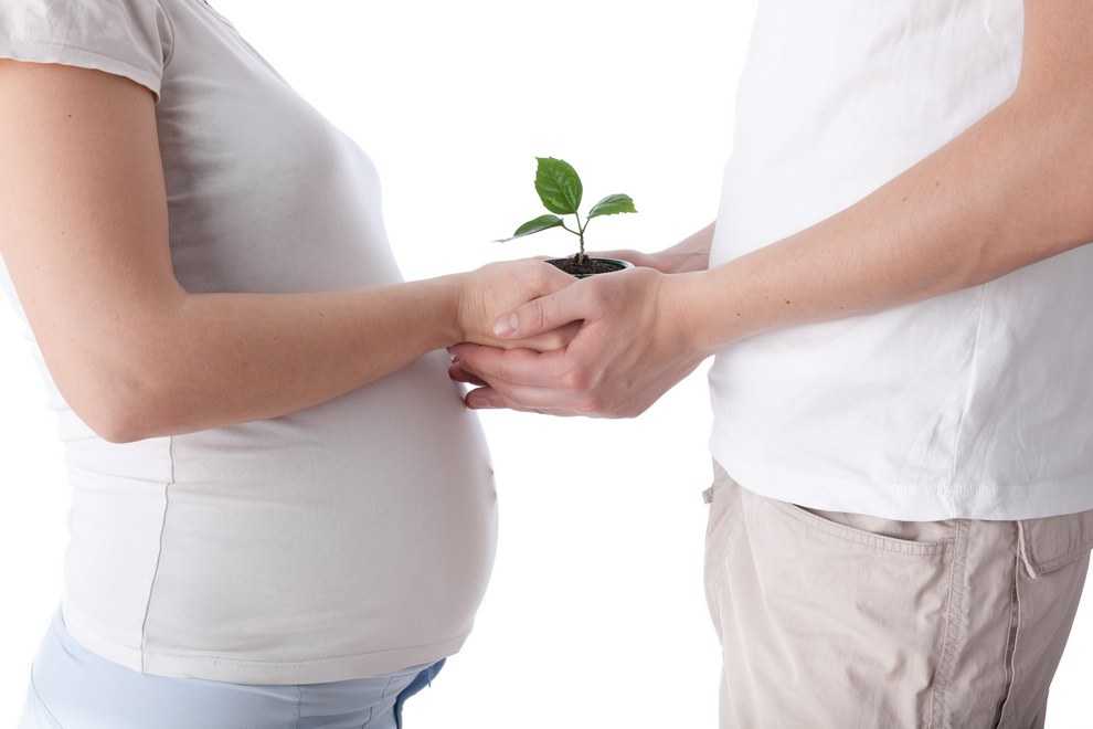 Что нужно знать перед зачатием ребенка?