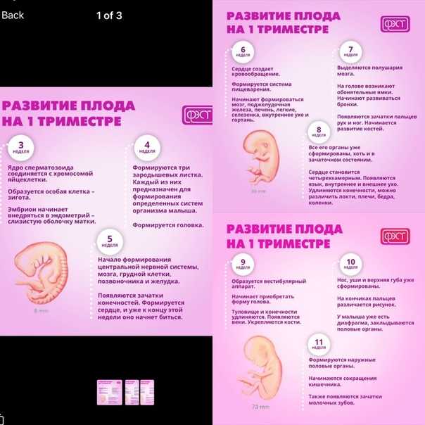36 неделя беременности развитие и фото — евромедклиник