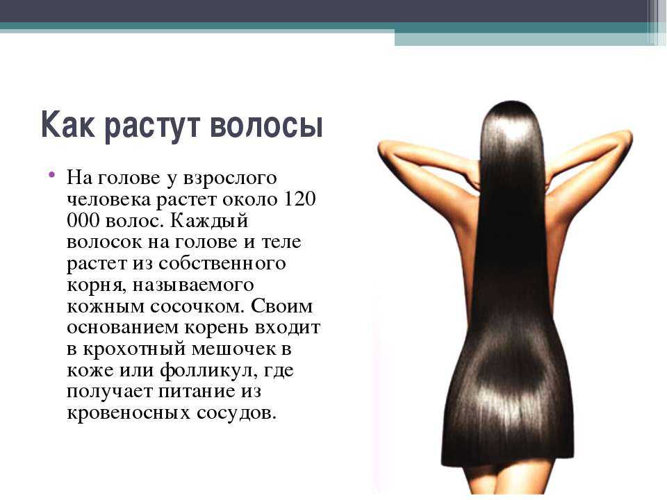 Лучшая краска для волос для беременных: обзор, состав, инструкция и отзывы :: syl.ru