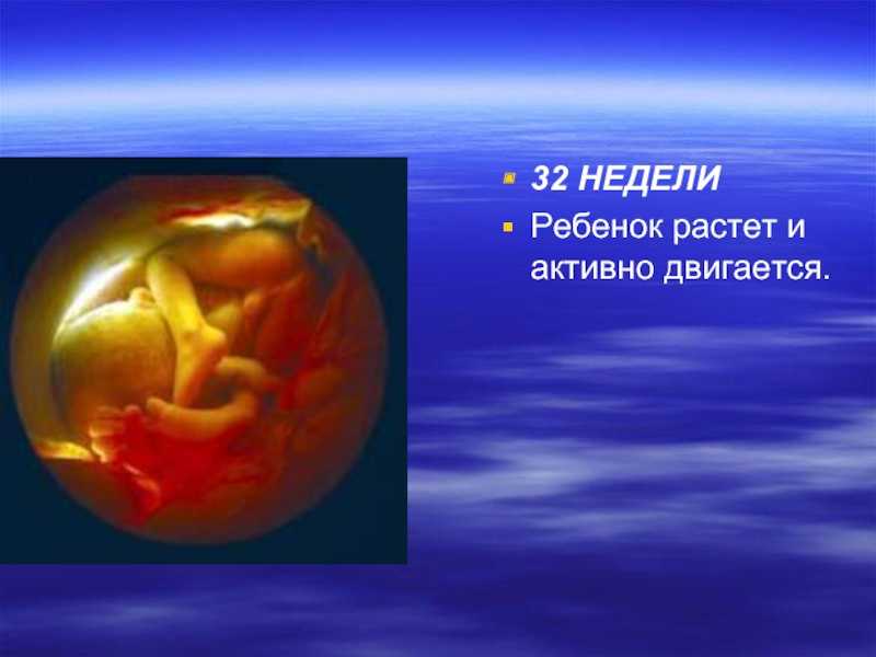 32 неделя беременности рост и развитие малыша