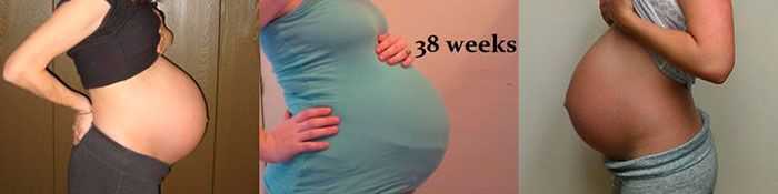 Шестая неделя беременности: признаки и ощущения, что происходит с малышом, что делать, если тянет живот и есть выделения, обследования хгч и узи | nutrilak