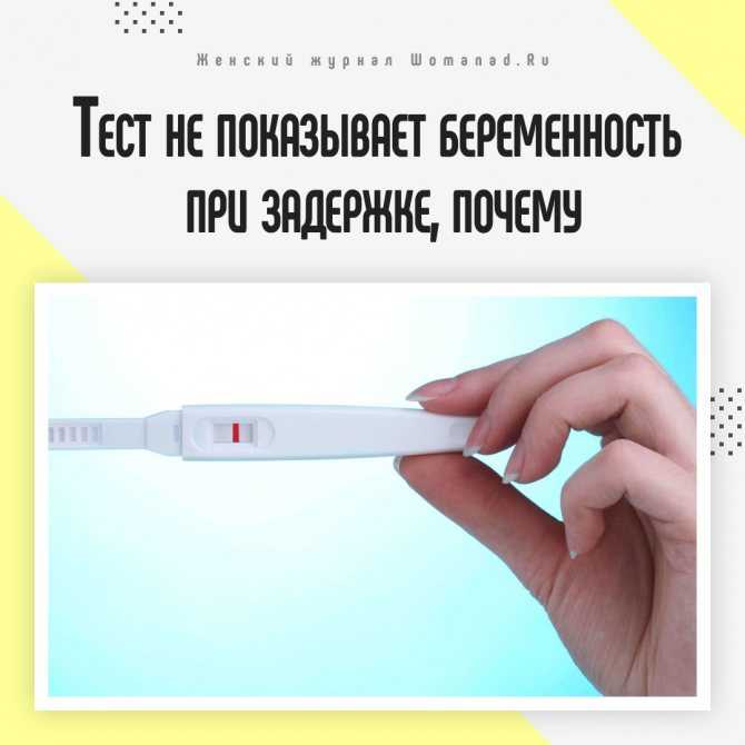 Тесты на беременность: как работают и насколько точны