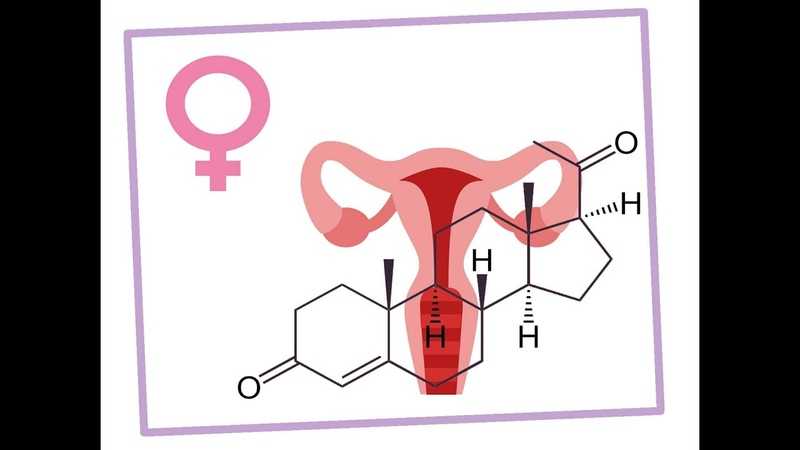 Уровень прогестерона при планировании беременности: каким должен быть, можно ли забеременеть при повышенном или низком?