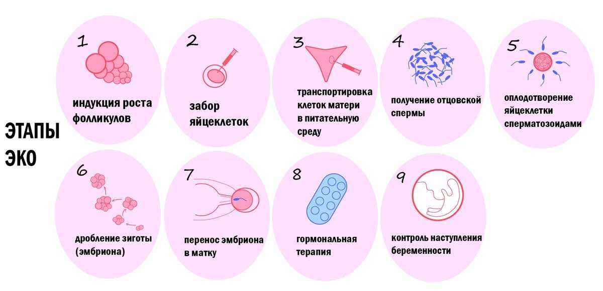 Анализы для эко: список и сроки анализов для эко по омс  - статья репродуктивного центра «за рождение»