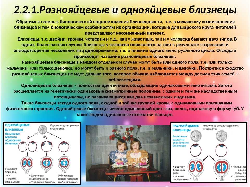 Почему однояйцевые близнецы имеют одинаковый генотип. Разнояццевые и о нояйцевые Близнецы. Механизм образования однояйцевых близнецов. Однояйцевые и двуяйцевые Близнецы. Однойцавые разнойцевые блтзнецы.