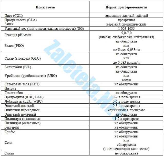 Пиелонефрит при беременности | особенности пиелонефрита почек у беременных