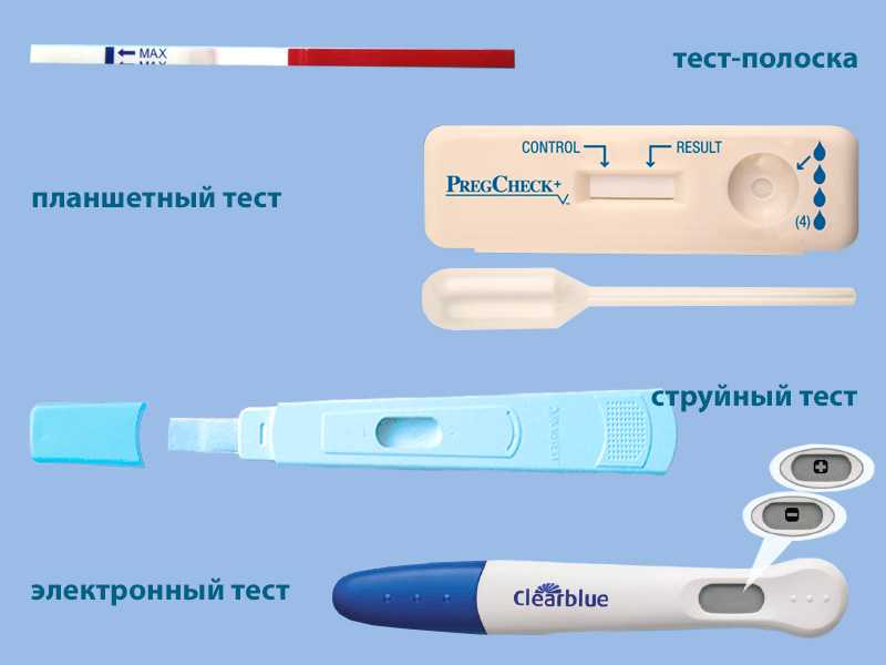 Когда тест на беременность сможет показать точный результат?