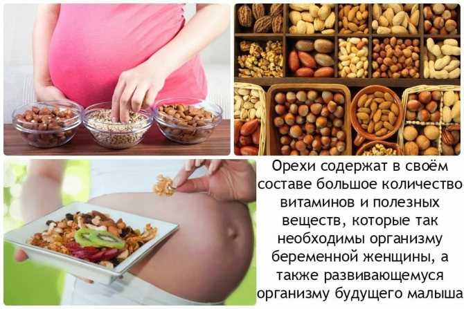 Питание во время беременности: все, что вы хотели знать