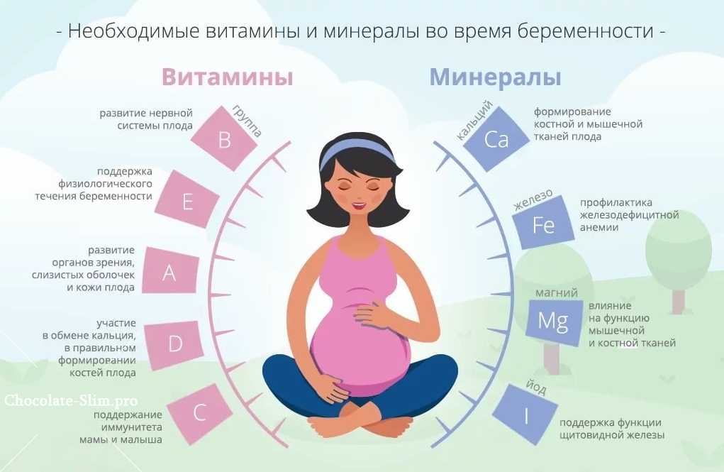 Что нужно знать будущей маме о первом триместре беременности