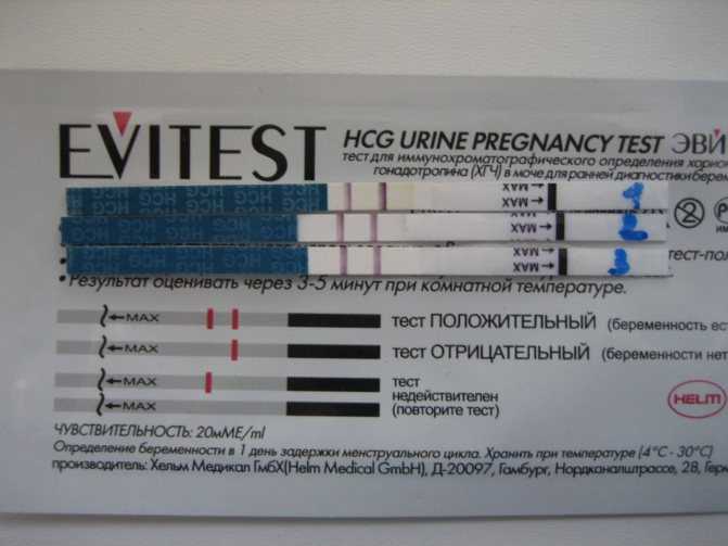 На какой день тест покажет беременность: как выбрать тест на беременность, как правильно пользоваться тестом и когда можно оценить результат