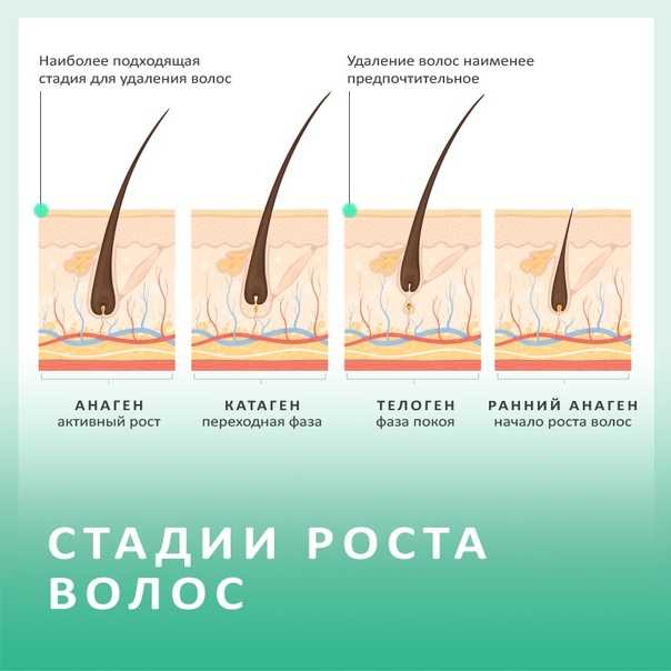 Лучшая краска для волос для беременных: обзор, состав, инструкция и отзывы :: syl.ru
