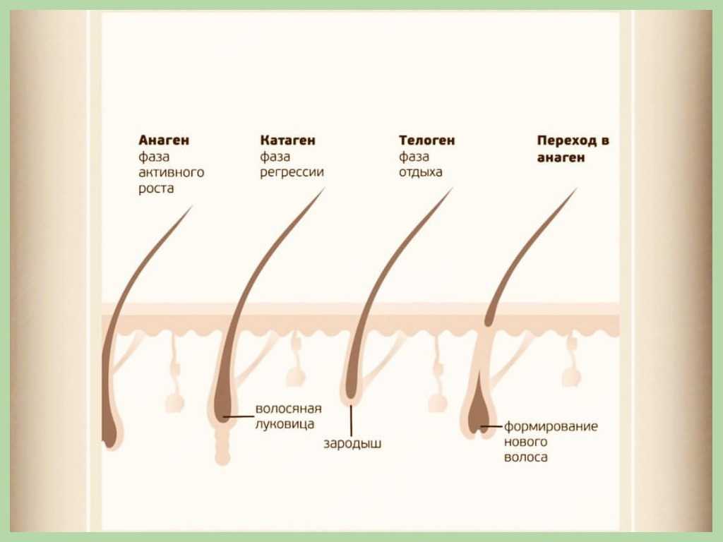 Выпадение волос во время беременности и после родов: причины и способы восстановления